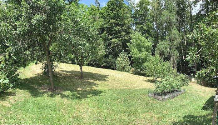 Garten - Erholungswiese zum Wald