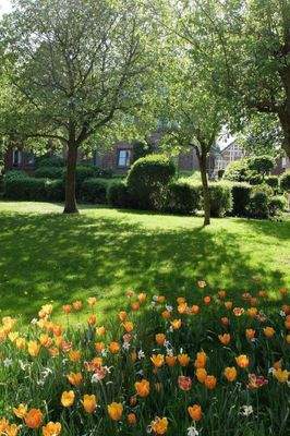 Auedeich 51 A+B, Innenhof mit Frühlingsblumen.JPG