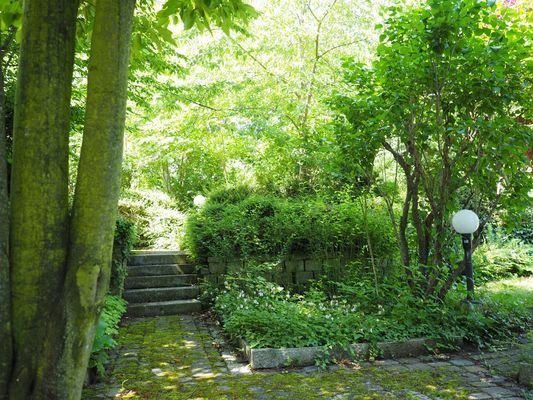 Gartenbereich