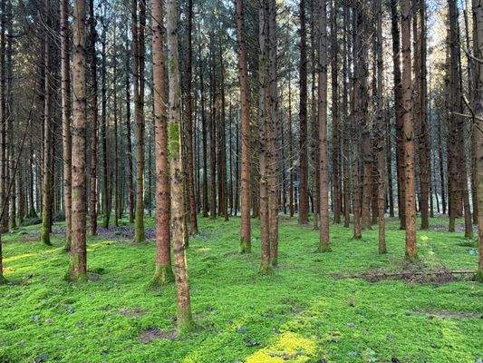 2025-12-10 11.07.06.jpg