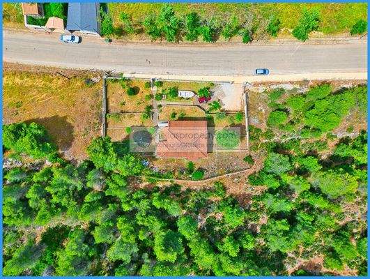 d686f8ed3a124af6a37c98516de6e477-original