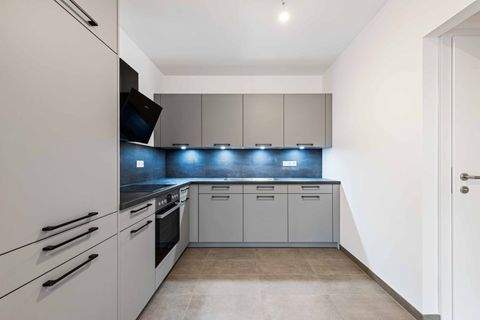 Bad Vöslau Wohnungen, Bad Vöslau Wohnung mieten