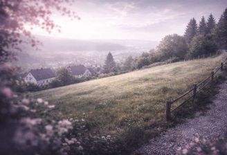 Bild1
