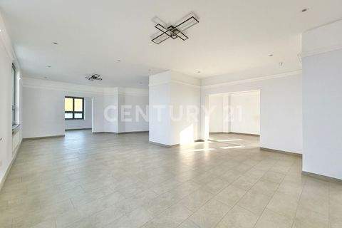 Meißen Ladenlokale, Ladenflächen 