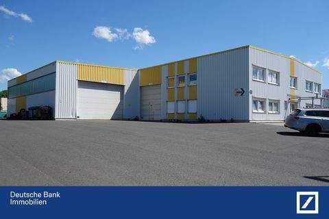 Wilkau-Haßlau Halle, Wilkau-Haßlau Hallenfläche