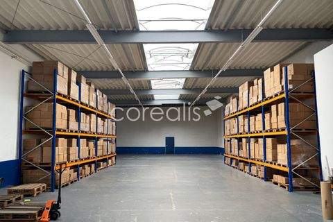 Düsseldorf Halle, Düsseldorf Hallenfläche