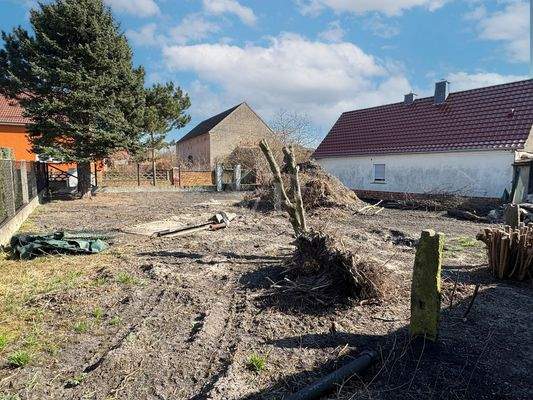 Außenbereich - Garten