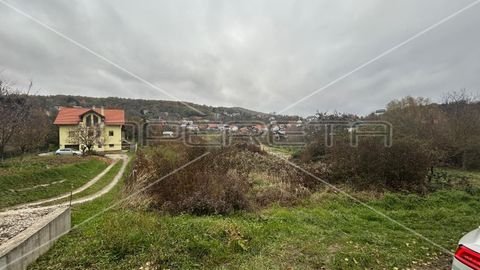 Markusevec Bauernhöfe, Landwirtschaft, Markusevec Forstwirtschaft