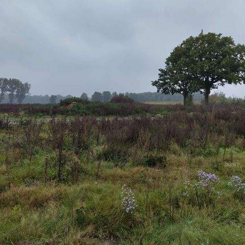 Winsen (Luhe) Grundstücke, Winsen (Luhe) Grundstück kaufen