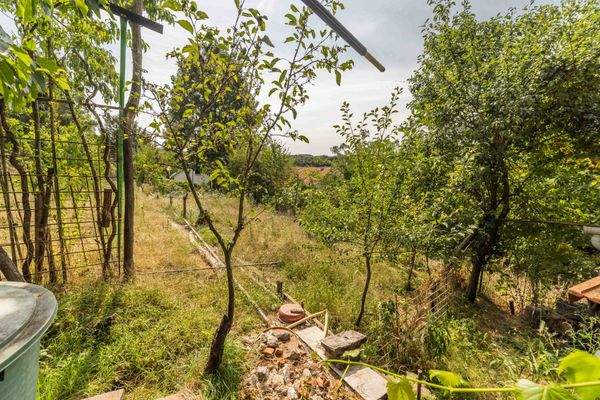 26 août 2025-14165C9A9773.jpg