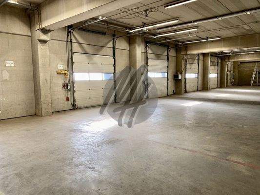 INFOS UNTER: 06171-586000