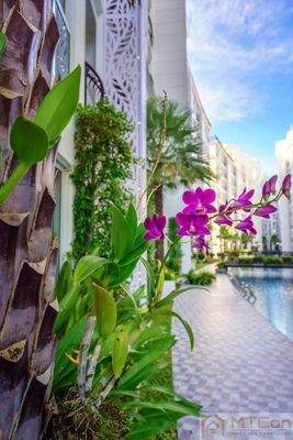 Olympus City Garden Ansicht Anlage