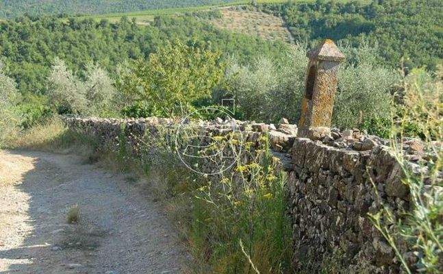 Traumhaftes Anwesen | Gaiole in Chianti