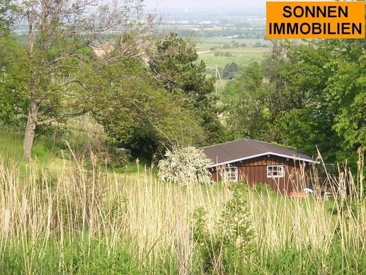 die "Almhütte" im Sommer