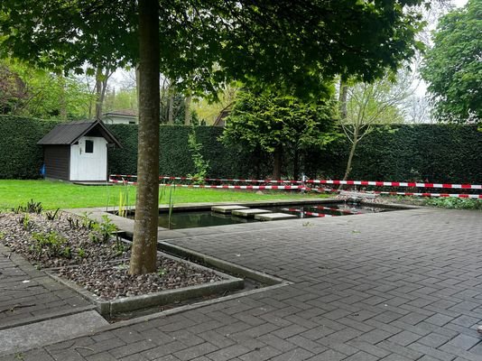Blick in den Garten