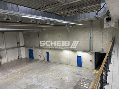 Crailsheim Halle, Crailsheim Hallenfläche