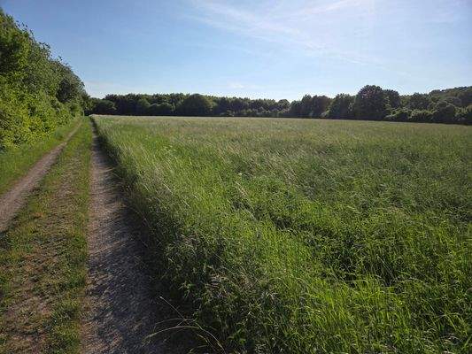 Zugang Drover Heide 150 Meter