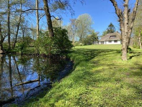 Tating Häuser, Tating Haus kaufen