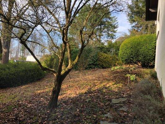 1073 qm Grundstück.jpeg