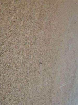 Lehmputz im großen Aufenthaltsraum Wohnung Nr. 3.j