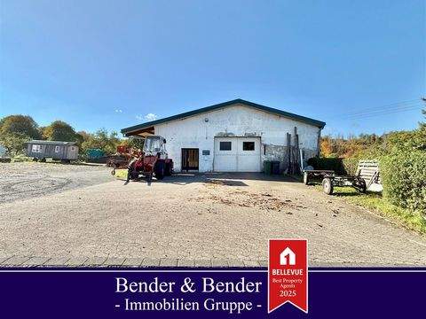 Marzhausen Halle, Marzhausen Hallenfläche