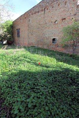 Garten hinten (4).jpg