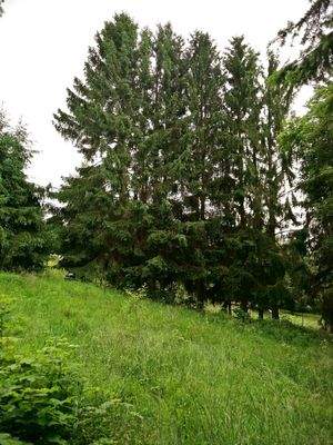 Geiersberg  – 98528 Suhl-Goldlauter