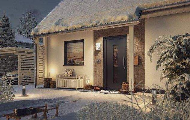 Eingangsueberdachung im Witer