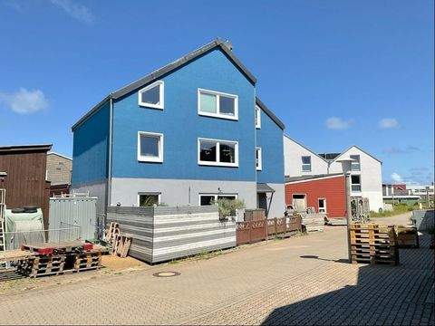 Helgoland Halle, Helgoland Hallenfläche