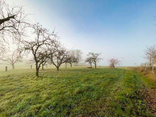 Obstgarten, Südwestseite, Alpenblick mit Baurecht