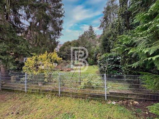 Blick auf Nachbarsgarten