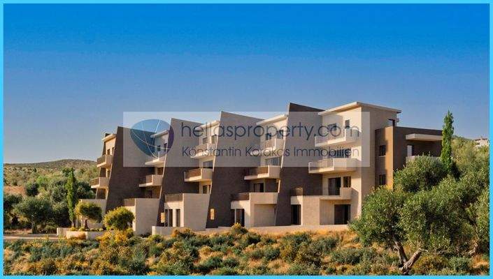 9cde6268d7894c838340155751947bd7-original