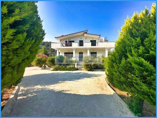 5aed48d3fe824bac8167251a1bf3ae45-original