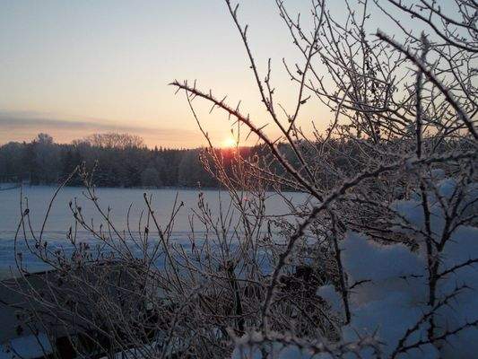 Grundstücksservice für Baufamilien