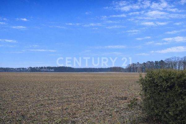 Blick vom Garten in die Natur