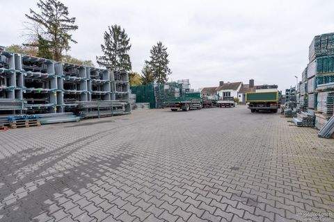 Köln Halle, Köln Hallenfläche