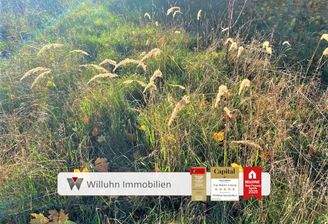 Schönes Grundstück