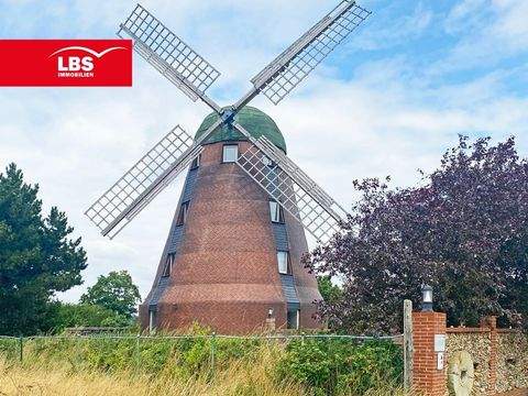 Peine Bauernhöfe, Landwirtschaft, Peine Forstwirtschaft