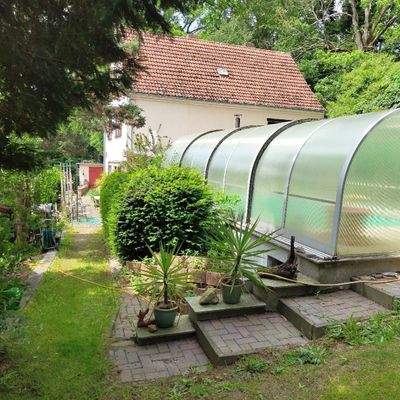 Gewächshaus im Garten