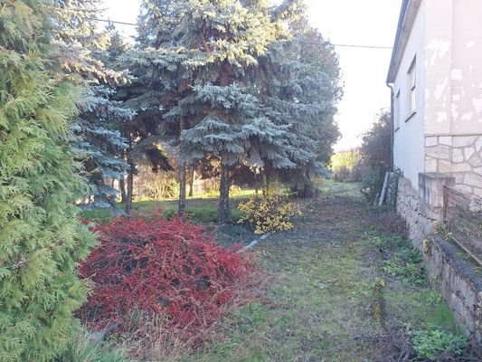 Bild 42