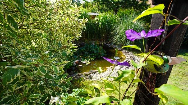 Idylle pur - mitten in der Stadt