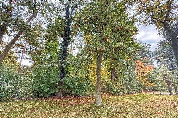 Blick aufs Grundstück