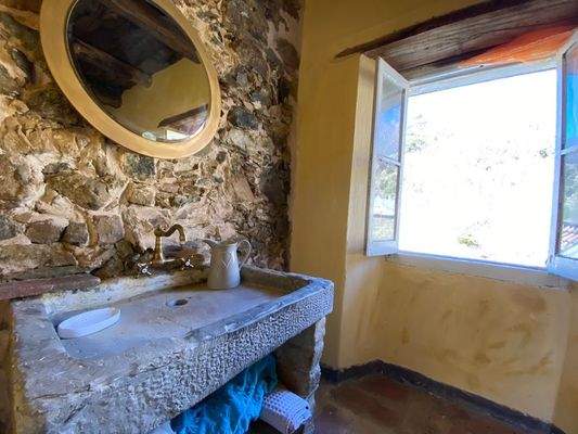 WhatsApp Image 2022-02-27 at 12.13.15.jpeg