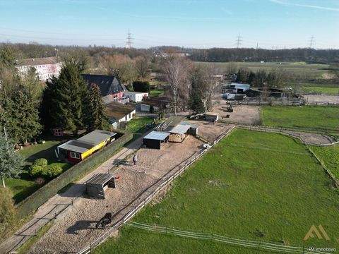 Essen Bauernhöfe, Landwirtschaft, Essen Forstwirtschaft