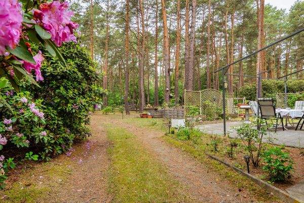 Weg von der Garage zur Terrasse
