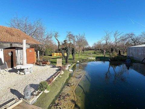 Bük Häuser, Bük Haus kaufen