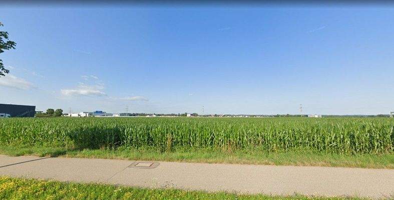 Flurstück 10.974 m2 KW 9-2025 mit Mais.jpg