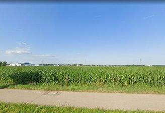 Flurstück 10.974 m2 KW 9-2025 mit Mais.jpg