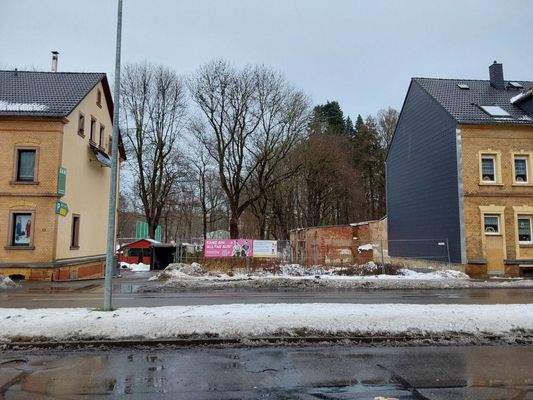 wohngrundstueck-kaufen-chemnitz (4)