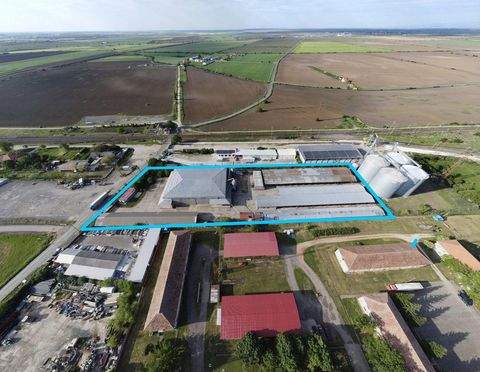 Vladimirescu, Arad Halle, Vladimirescu, Arad Hallenfläche